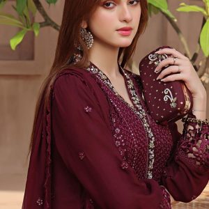 Front Full Heavy Chickenkari Embroidered Embroidered Sleeves Patch Chiffon Embroidered Dupatta