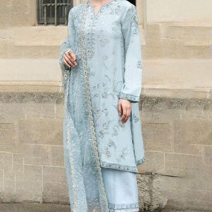 Embroidered Shamoze Silk with Adda Work, Stone Work, and Embroidered Daman Patti and Chaak Patti 4-Side Embroidered Attached Lace