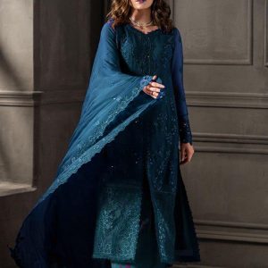 Fully Heavy Embroidery Chiffon Front Heavy Embroidered Neck on Fabric