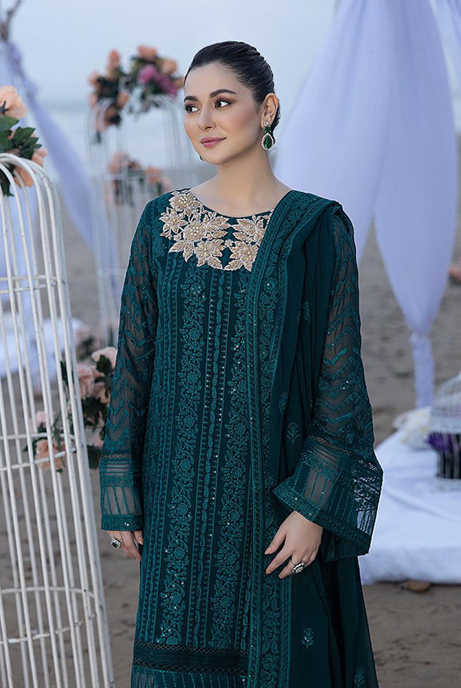 Chiffon Embroidered Sleeves & sleeves embroidered border