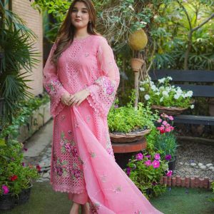 ANEELAS PREMIUM ORGANZA EMBROIDERED CHIKAN KARI DRESS